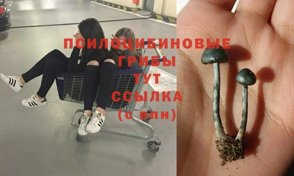 apvp Волосово